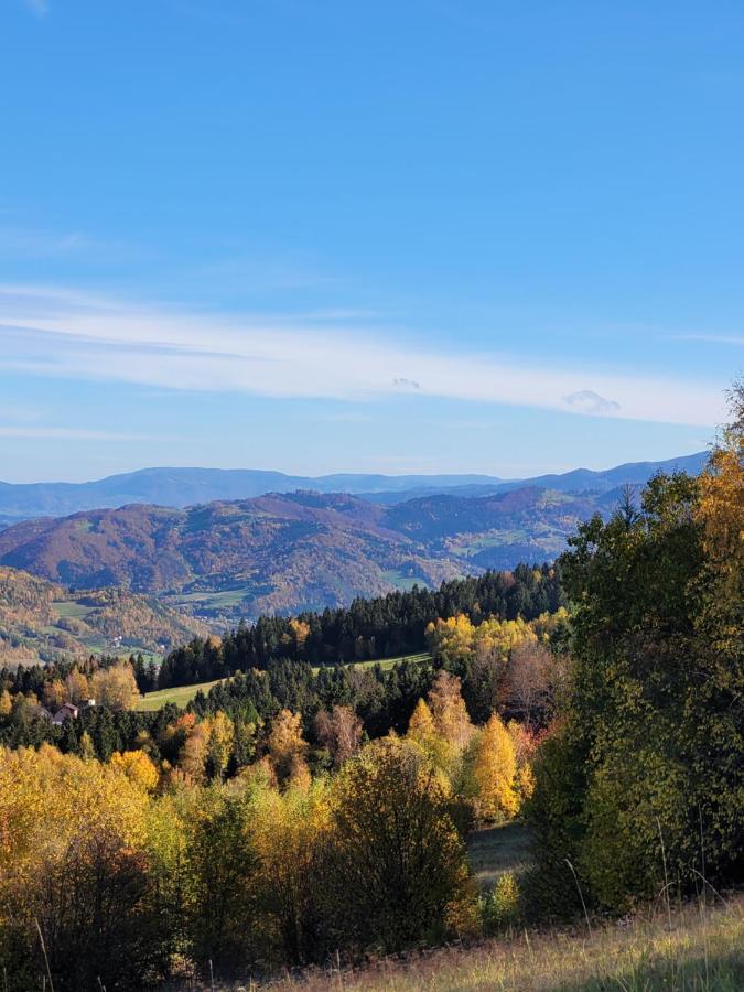 Ferienhaus Na Kleninie Z Goraca Balia *